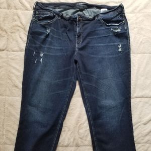 Silver Jeans Suki Capri. Plus size W24/L22 1/2